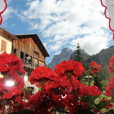 Dolomites Holidays Selva di Cadore Ruang foto