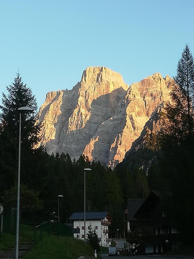 Dolomites Holidays Selva di Cadore Bagian luar foto