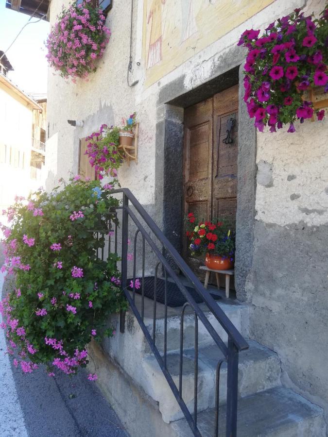 Dolomites Holidays Selva di Cadore Bagian luar foto