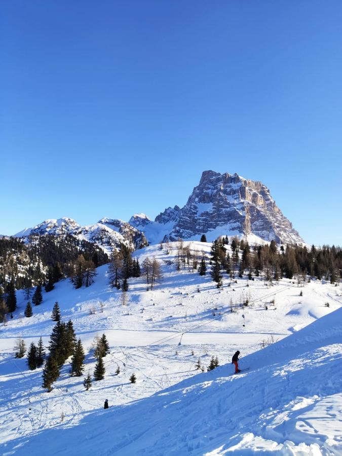 Dolomites Holidays Selva di Cadore Bagian luar foto